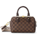 Louis Vuitton Speedy Bandouliere 20 N40489 Brown
